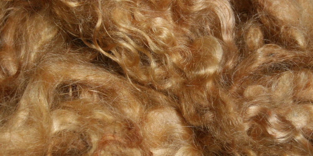 TANBARK